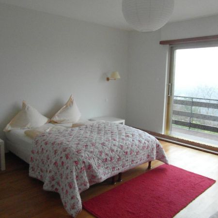 Villa Du Lion D'Or La Petite-Pierre Habitación foto