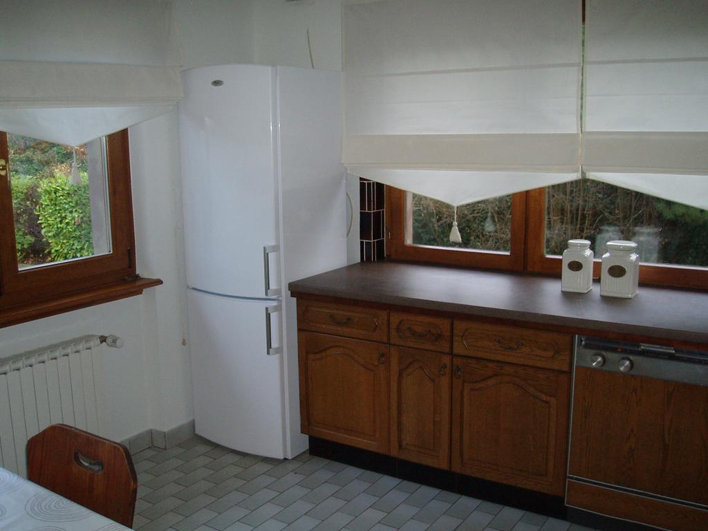 Villa Du Lion D'Or La Petite-Pierre Habitación foto