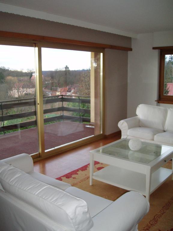 Villa Du Lion D'Or La Petite-Pierre Habitación foto